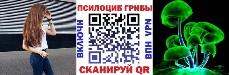 Купить  Лагань  Галлюциногенные грибы MAGIC MUSHROOMS 